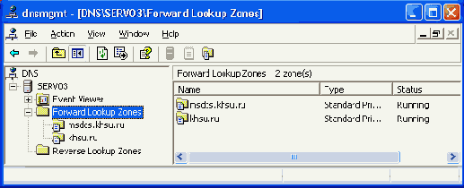     DNS